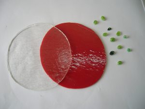 DSCN2898