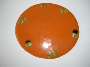 DSCN2911